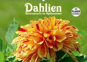 Dahlien – Blütenpracht im Spätsommer (Wandkalender 2019 DIN A2 quer) von LianeM