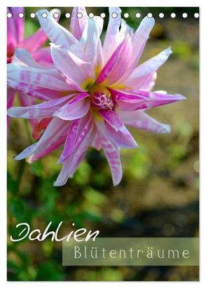 Dahlien – Blütenträume (Tischkalender 2024 DIN A5 hoch), CALVENDO Monatskalender von Kröll,  Ulrike