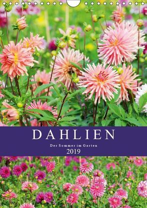 Dahlien – Der Sommer im Garten (Wandkalender 2019 DIN A4 hoch) von Frost,  Anja