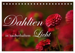 Dahlien in zauberhaftem Licht (Tischkalender 2024 DIN A5 quer), CALVENDO Monatskalender von Stehle,  Brigitte