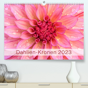 Dahlien-Kronen (Premium, hochwertiger DIN A2 Wandkalender 2023, Kunstdruck in Hochglanz) von Plett,  Rainer