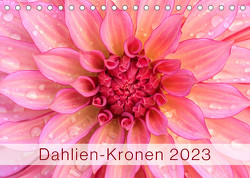 Dahlien-Kronen (Tischkalender 2023 DIN A5 quer) von Plett,  Rainer