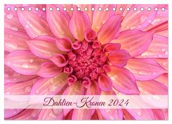Dahlien-Kronen (Tischkalender 2024 DIN A5 quer), CALVENDO Monatskalender von Plett,  Rainer