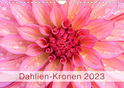 Dahlien-Kronen (Wandkalender 2023 DIN A4 quer) von Plett,  Rainer