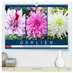 Dahlien – Prachtvolle Blüten des Spätsommers (hochwertiger Premium Wandkalender 2024 DIN A2 quer), Kunstdruck in Hochglanz von Meyer,  Dieter