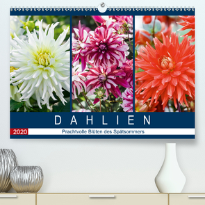 Dahlien – Prachtvolle Blüten des Spätsommers (Premium, hochwertiger DIN A2 Wandkalender 2020, Kunstdruck in Hochglanz) von Meyer,  Dieter