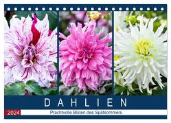 Dahlien – Prachtvolle Blüten des Spätsommers (Tischkalender 2024 DIN A5 quer), CALVENDO Monatskalender von Meyer,  Dieter
