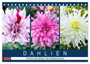 Dahlien – Prachtvolle Blüten des Spätsommers (Tischkalender 2024 DIN A5 quer), CALVENDO Monatskalender von Meyer,  Dieter