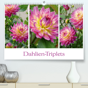 Dahlien-Triplets (Premium, hochwertiger DIN A2 Wandkalender 2020, Kunstdruck in Hochglanz) von B-B Müller,  Christine