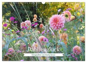 Dahlienglück (Wandkalender 2024 DIN A3 quer), CALVENDO Monatskalender von Kruse,  Gisela