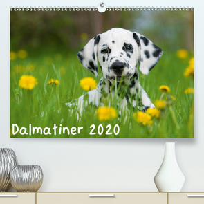 Dalmatiner 2020 (Premium, hochwertiger DIN A2 Wandkalender 2020, Kunstdruck in Hochglanz) von Dzierzawa,  Judith