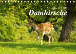 Damhirsche (Tischkalender 2019 DIN A5 quer) von Di Chito,  Ursula