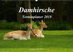 Damhirsche (Wandkalender 2018 DIN A2 quer) von Di Chito,  Ursula