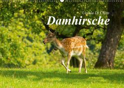 Damhirsche (Wandkalender 2019 DIN A2 quer) von Di Chito,  Ursula