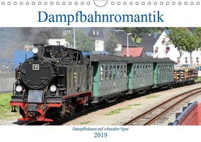 Dampfbahnromantik – Dampfbahnen auf schmaler Spur (Wandkalender 2019 DIN A4 quer) von Bujara,  André