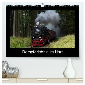 Dampferlebnis im Harz (hochwertiger Premium Wandkalender 2024 DIN A2 quer), Kunstdruck in Hochglanz von Maurer,  Marion