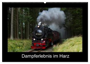 Dampferlebnis im Harz (Wandkalender 2024 DIN A2 quer), CALVENDO Monatskalender von Maurer,  Marion