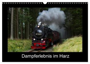 Dampferlebnis im Harz (Wandkalender 2024 DIN A3 quer), CALVENDO Monatskalender von Maurer,  Marion