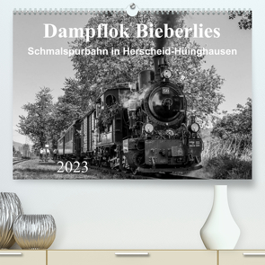 Dampflok Bieberlies in Herscheid-Hüinghausen (Premium, hochwertiger DIN A2 Wandkalender 2023, Kunstdruck in Hochglanz) von Rein,  Simone