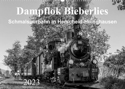 Dampflok Bieberlies in Herscheid-Hüinghausen (Wandkalender 2023 DIN A2 quer) von Rein,  Simone