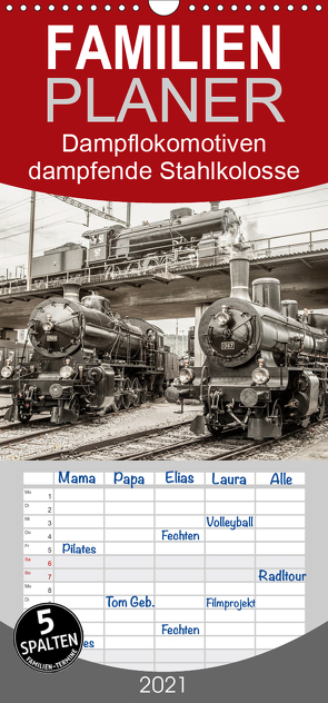 Dampflokomotiven – dampfende Stahlkolosse – Familienplaner hoch (Wandkalender 2021 , 21 cm x 45 cm, hoch) von Brunner-Klaus,  Liselotte