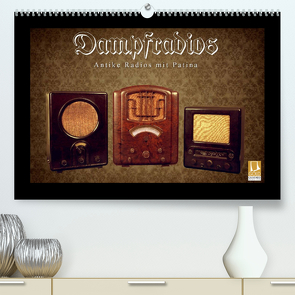 Dampfradios – Antike Radios mit Patina (Premium, hochwertiger DIN A2 Wandkalender 2022, Kunstdruck in Hochglanz) von Haselnusstafel