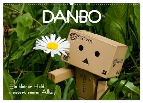 Danbo – Ein kleiner Held meistert seinen Alltag (Wandkalender 2024 DIN A2 quer), CALVENDO Monatskalender von Moßhammer,  Natalie