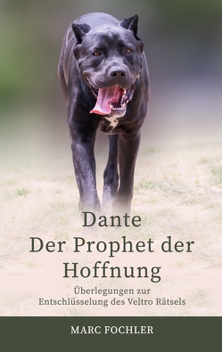 Dante — Der Prophet der Hoffnung von Fochler,  Marc