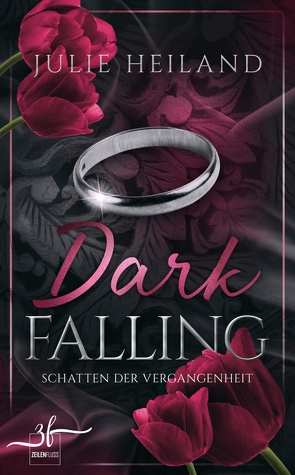 Dark Falling – Schatten der Vergangenheit von Heiland,  Julie