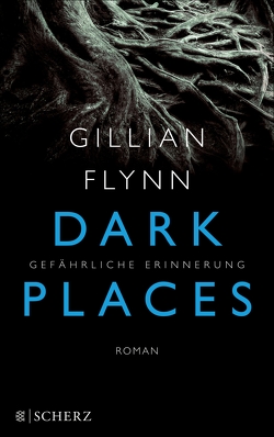 Dark Places – Gefährliche Erinnerung von Flynn,  Gillian, Strüh,  Christine