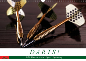 Darts. Konzentration – Sport – Spannung (Wandkalender 2022 DIN A3 quer) von Robert,  Boris