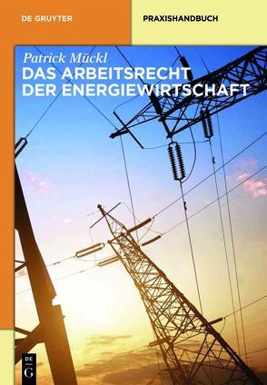 Das Arbeitsrecht der Energiewirtschaft von Mückl,  Patrick