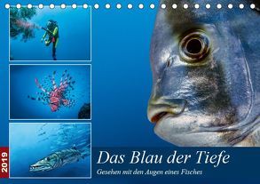 Das Blau der Tiefe (Tischkalender 2019 DIN A5 quer) von Gödecke,  Dieter