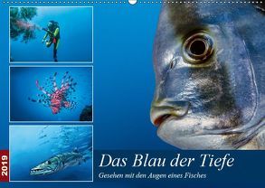 Das Blau der Tiefe (Wandkalender 2019 DIN A2 quer) von Gödecke,  Dieter