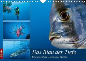 Das Blau der Tiefe (Wandkalender 2019 DIN A4 quer) von Gödecke,  Dieter
