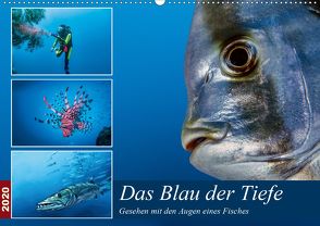 Das Blau der Tiefe (Wandkalender 2020 DIN A2 quer) von Gödecke,  Dieter