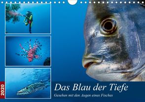 Das Blau der Tiefe (Wandkalender 2020 DIN A4 quer) von Gödecke,  Dieter