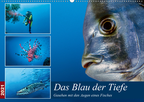 Das Blau der Tiefe (Wandkalender 2021 DIN A2 quer) von Gödecke,  Dieter