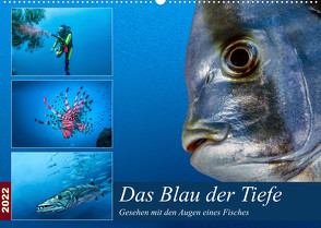 Das Blau der Tiefe (Wandkalender 2022 DIN A2 quer) von Gödecke,  Dieter