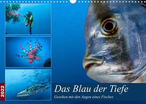Das Blau der Tiefe (Wandkalender 2022 DIN A3 quer) von Gödecke,  Dieter