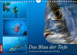 Das Blau der Tiefe (Wandkalender 2022 DIN A4 quer) von Gödecke,  Dieter