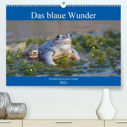 Das blaue Wunder – Moorfrösche in ihrem Habitat (Premium, hochwertiger DIN A2 Wandkalender 2021, Kunstdruck in Hochglanz) von Grahneis,  Sabine