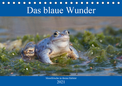 Das blaue Wunder – Moorfrösche in ihrem Habitat (Tischkalender 2021 DIN A5 quer) von Grahneis,  Sabine