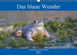 Das blaue Wunder – Moorfrösche in ihrem Habitat (Wandkalender 2021 DIN A3 quer) von Grahneis,  Sabine