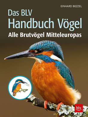 Das BLV Handbuch Vögel von Bezzel,  Einhard