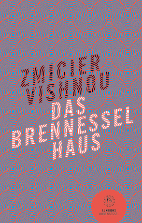 Das Brennesselhaus von Jakobson,  Martina, Vishniou,  Zmicier