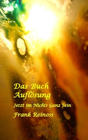 Das Buch Auflösung von Reinoss,  Frank