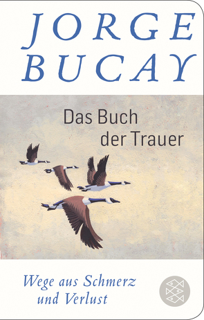 Das Buch der Trauer von Bucay,  Jorge, Grüneisen,  Lisa