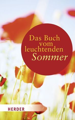 Das Buch vom leuchtenden Sommer von Dirks,  Liane