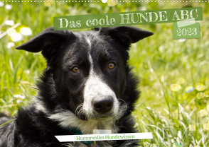 Das coole Hunde ABC (Wandkalender 2023 DIN A2 quer) von Löwer,  Sabine